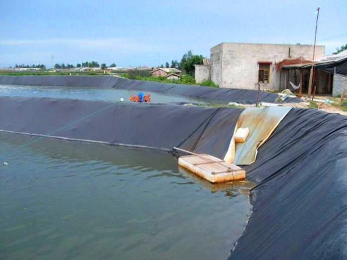 魚(yú)塘防滲膜怎樣粘接才能牢固 魚(yú)塘防滲膜粘接注意事項(xiàng)