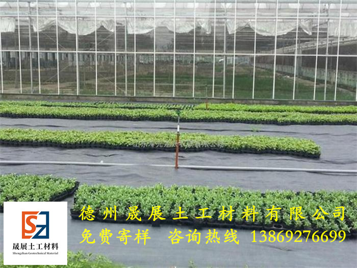 苗圃防草布