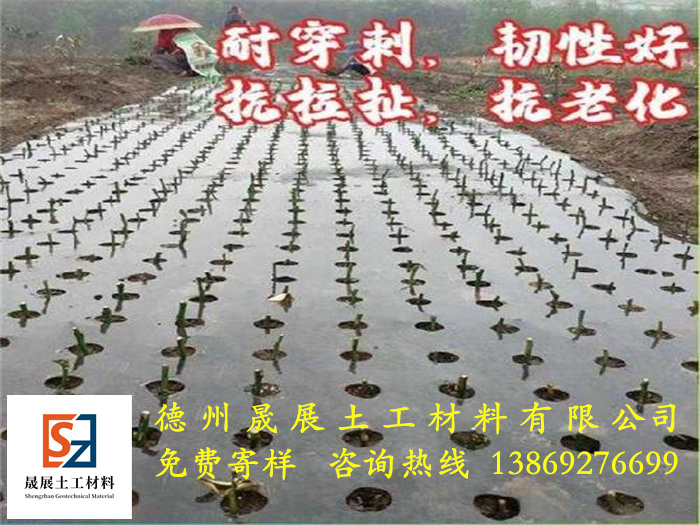 打孔防草布